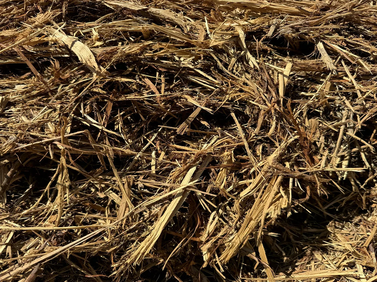 Single-grind cedar mulch texture sold by the cubic yard at Burnet Brush Depot