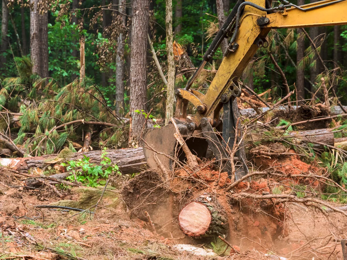 Land clearing excavator removing trees and brush in Central Texas